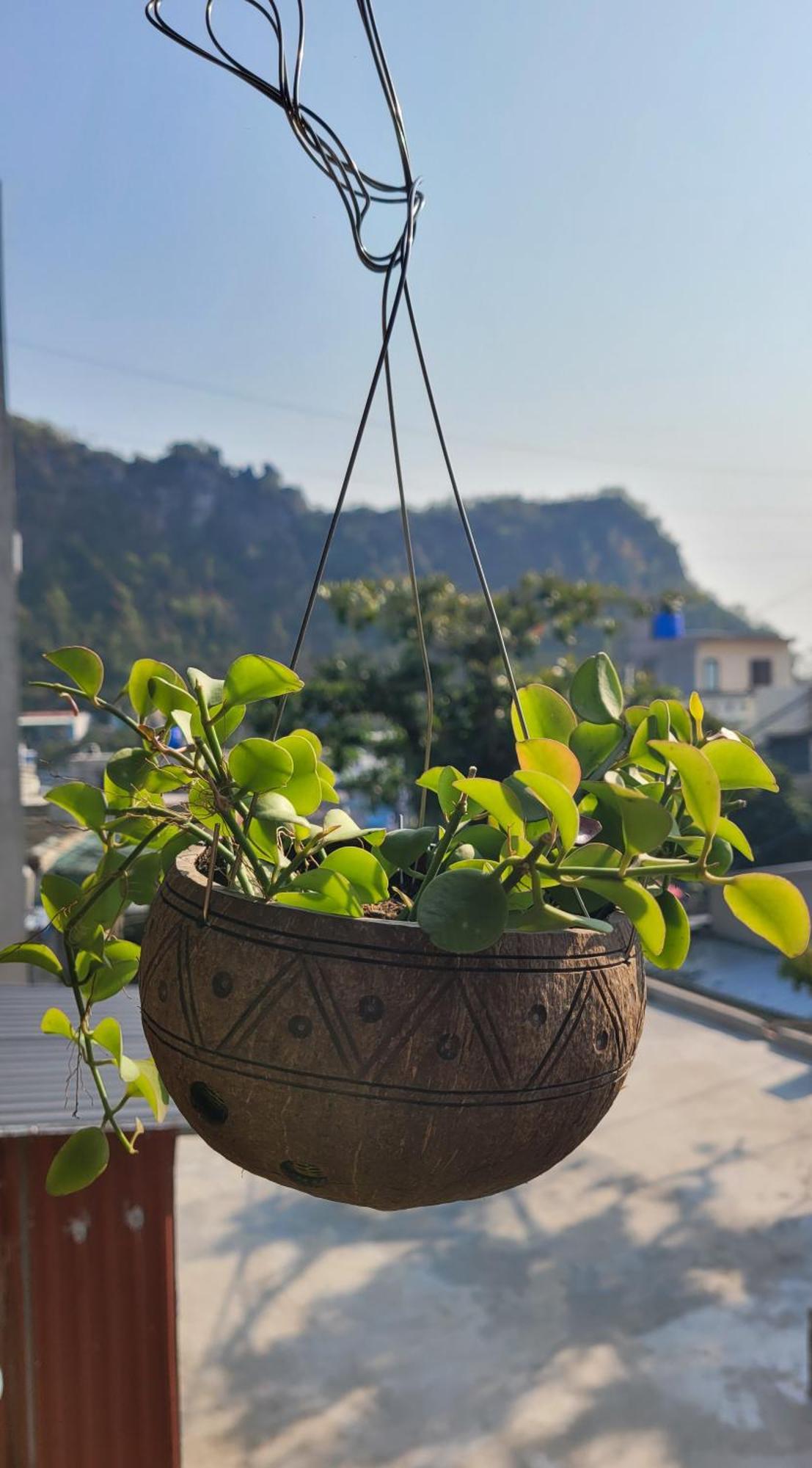 Tiny Garden House Cat Ba Hotel Chan Chau Exterior photo